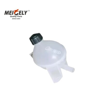 Διαρκής δεξαμενή νερού ψύξης 217104354R για βαρέα φορτηγά της Renault