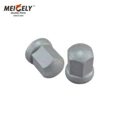 7424424790 Κάλυμμα παξιμαδιού τροχού OEM-Grade – Προστατευτικό για Renault