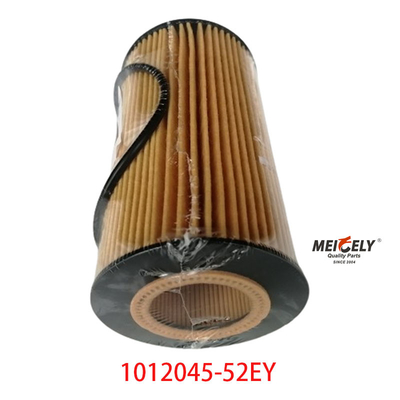 Φίλτρο πετρελαίου OEM 1012045-52EY Για FAW Dachai Deutz