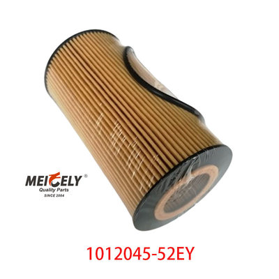 Φίλτρο πετρελαίου OEM 1012045-52EY Για FAW Dachai Deutz