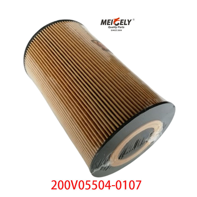Μηχανή ντίζελ 200V05504-0107 Φίλτρο πετρελαίου Sinotruk SITRAK T7H