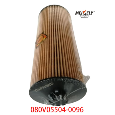 Εφοδιασμός OEM 080V05504-0096 Για SINOTRUK Howo T5G φίλτρο πετρελαίου φορτηγών