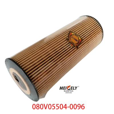 Εφοδιασμός OEM 080V05504-0096 Για SINOTRUK Howo T5G φίλτρο πετρελαίου φορτηγών