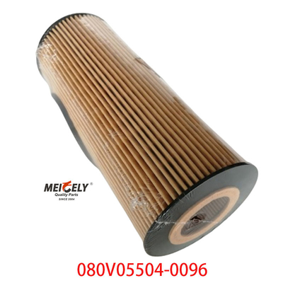 Εφοδιασμός OEM 080V05504-0096 Για SINOTRUK Howo T5G φίλτρο πετρελαίου φορτηγών