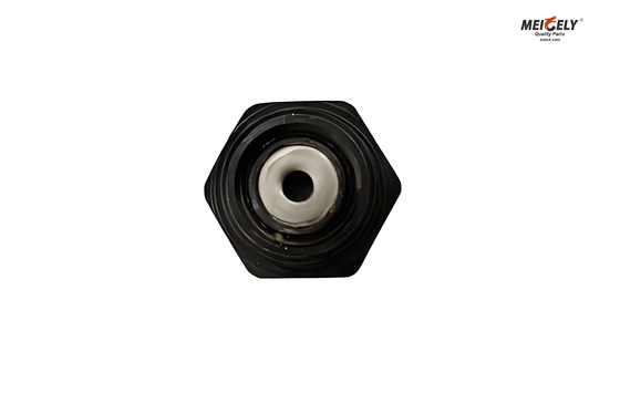 Fuso και Canter ME012586 Bolt Oil Jet Valve Για όλα τα μοντέλα