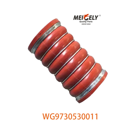 Συσκευές αυτοκινήτων WG9730530011 WD615 για φορτηγό HOWO T5G