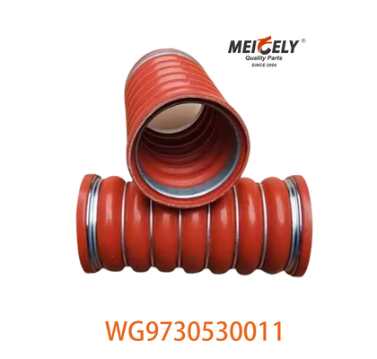 Συσκευές αυτοκινήτων WG9730530011 WD615 για φορτηγό HOWO T5G