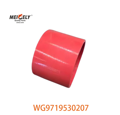 WG9719530207 Διαψύκτης Σωλήνας εξάτμισης 0020946982 Για φορτηγό Sinotruk A7