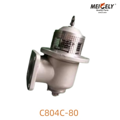 C804C-80 Κύλινδρο καυσίμου για οδικά οχήματα