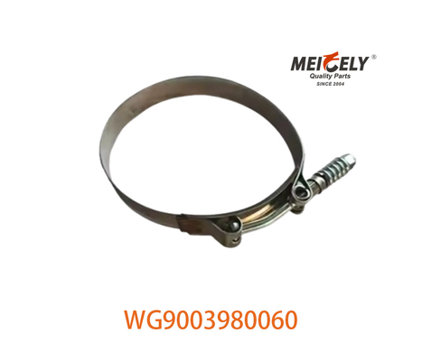 OEM WG9003980060 Δυνατή λαβή για σωλήνα για SINOTRUK HOWO